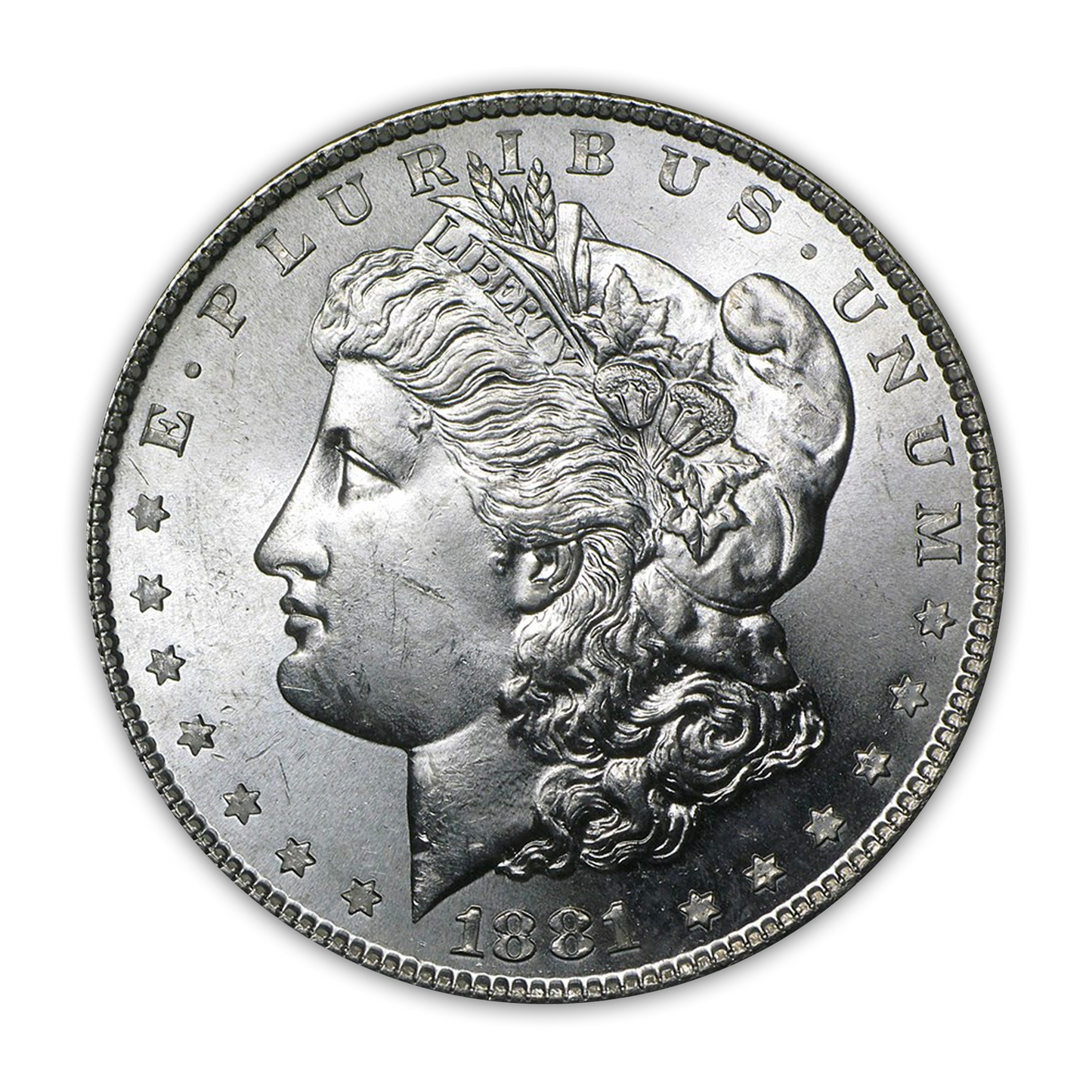 Morgan Silver Dollar - Uncirculated